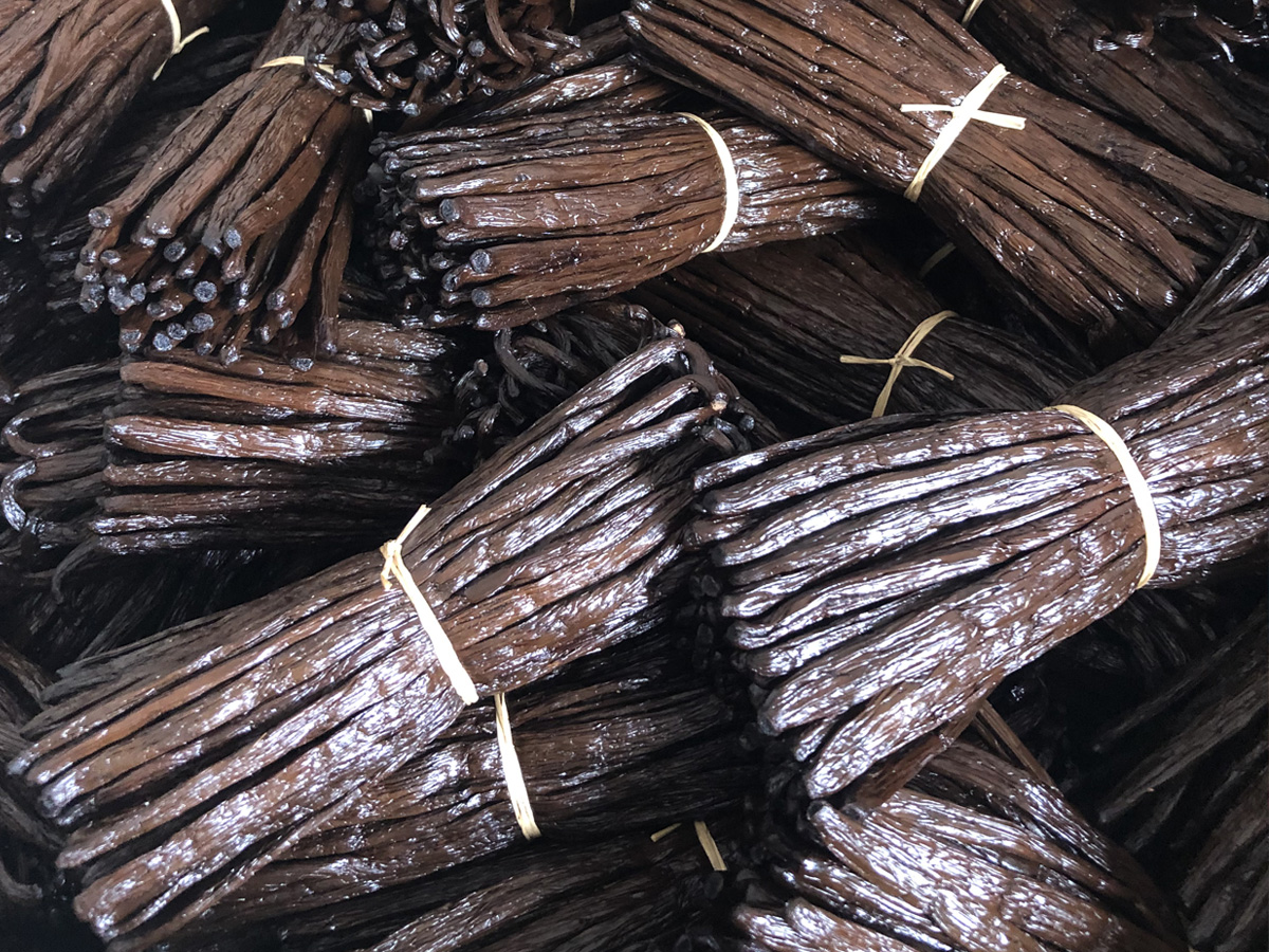 Gousse de vanille noire gourmet au kilo de 18 cm non-fendue - 1KG -  Madépices